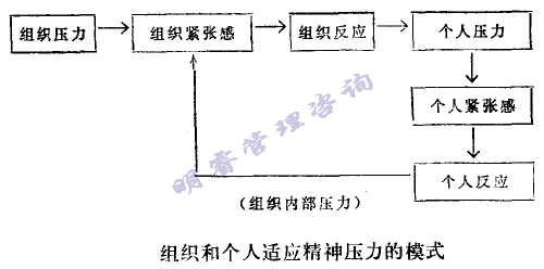 組織和個(gè)人適應(yīng)精神壓力的模式